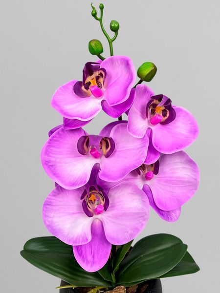 Міні-композиція на одну гілочку з рожевої з фіолетовою серединкою орхідеї у чорному керамічному кашпо, висота 35 см А913 фото