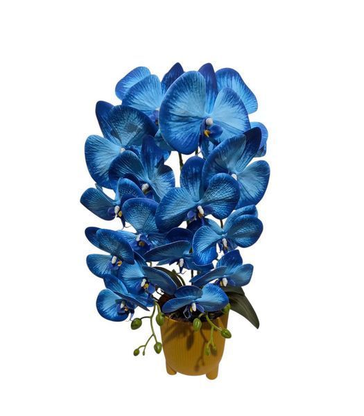 0516-1 фото