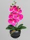 Мини-композиция на одну веточку из розовой орхидеи в черном керамическом кашпо, высота 35 см А905 фото 1