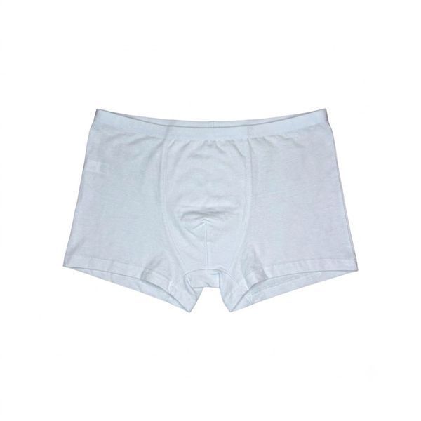Трусы мужские белые боксеры L-XXXL 2шт 50026 фото
